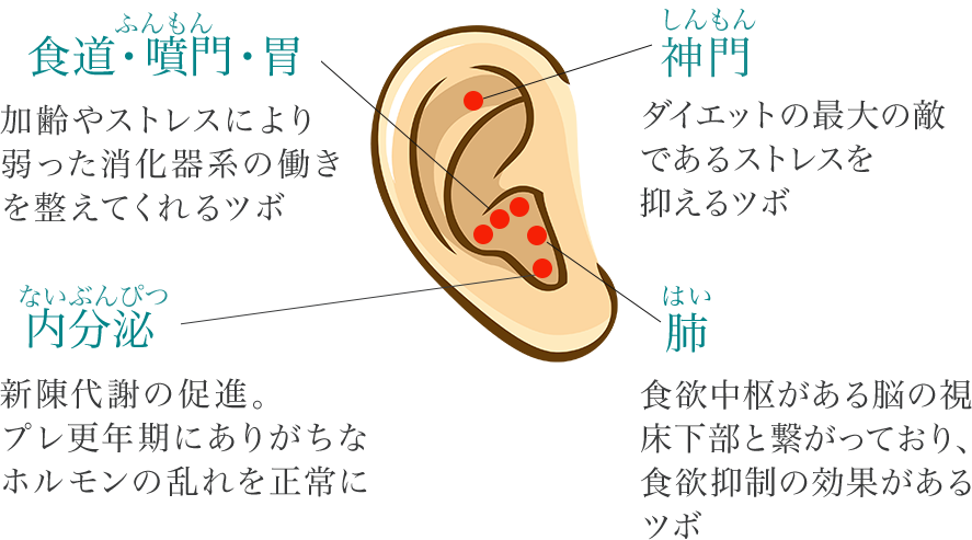 耳ツボダイエットの説明図